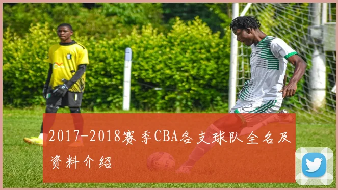 2017-2018赛季CBA各支球队全名及资料介绍