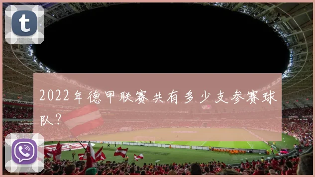 2022年德甲联赛共有多少支参赛球队?