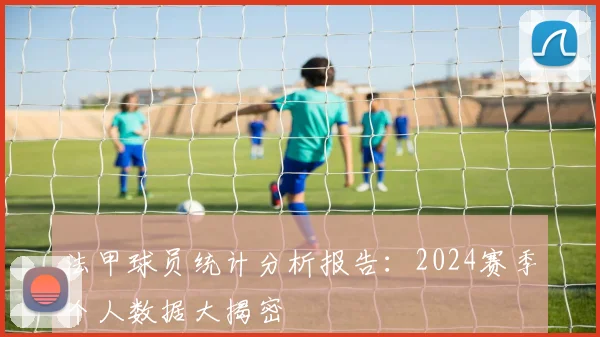 法甲球员统计分析报告：2024赛季个人数据大揭密
