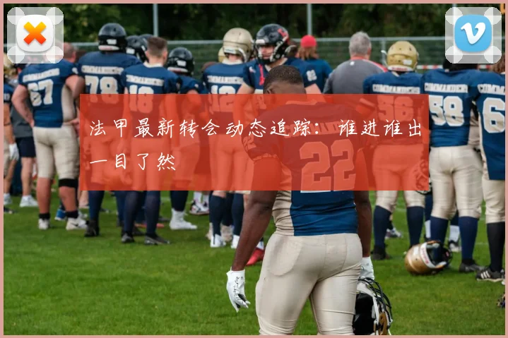 法甲最新转会动态追踪：谁进谁出一目了然