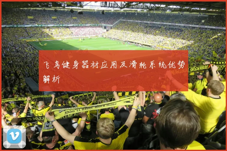 飞鸟健身器材应用及滑轮系统优势解析